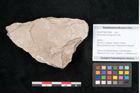 Foto (Objekt + Etikett) von Dictyopteris brongniarti Gutb. (NHMW-GEO-2024-0188-10954)